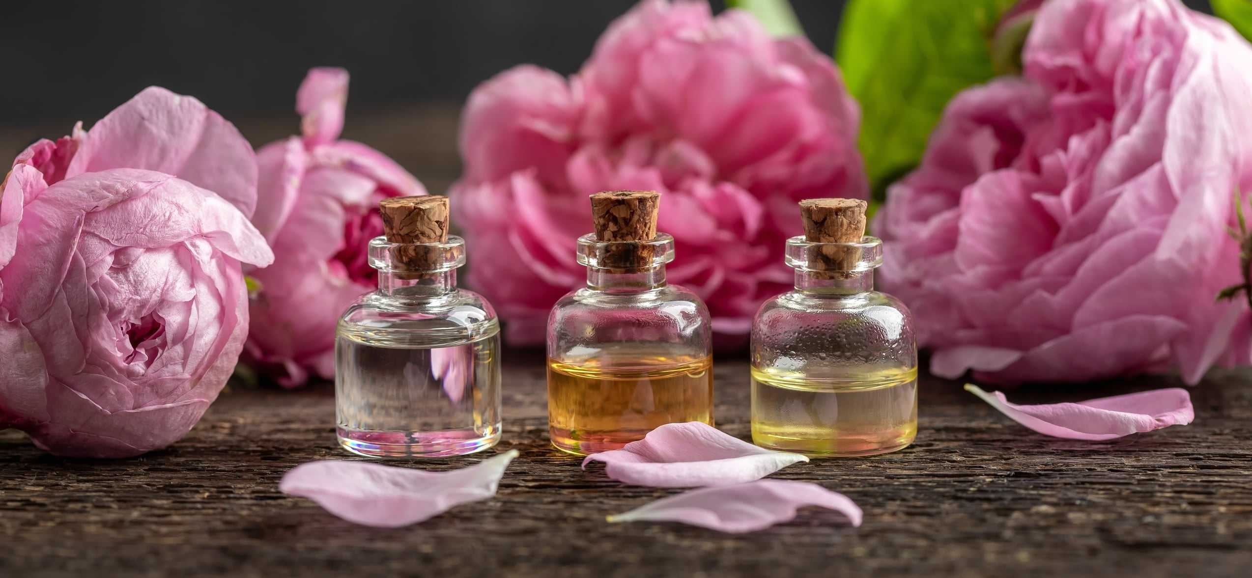 Fragrance comparison